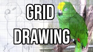 Grid Drawing Tutorial  How to Make a Grid in GIMP [upl. by Jordanna]