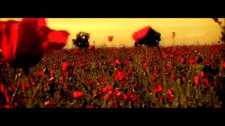 Sisu  Din Toate Florile  Official Video [upl. by Eehsar99]