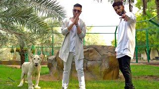 Adam Saleh  Waynak ft Faydee Official Music Video [upl. by Gannes690]