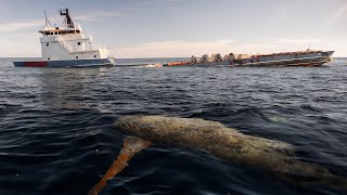 Mounting Cameras on a Freighter Sinking in The Ocean [upl. by Whipple]