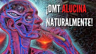 ▶ DMT natural Música para AUTODROGARSE y activar la glándula pineal🤯 ACTIVAR TERCER OJO AL DORMIR [upl. by Abehs]