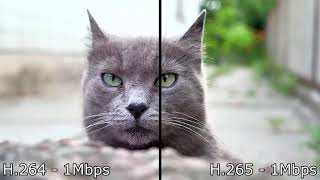 H264 vs H265 comparison 4K [upl. by Ailehs109]