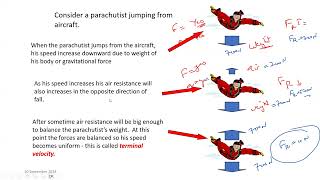 Newtons First and Second Law A Levels Physics Lecture 24 [upl. by Ayirp57]