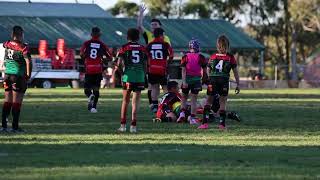 U11 Div 1 Rugby League  Colyton vs St Clair RD10 2023 [upl. by Nilok]