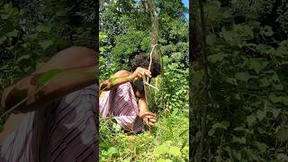 jungle hunting Sri Lanka veddaa survival vedda ￼ [upl. by Airrehs]