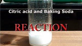 Citric acid and Baking Soda Reaction [upl. by Ile]