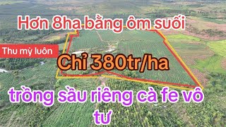 Đất rẻ gia lai [upl. by Nybor]