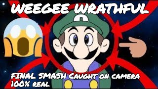 Weegees Wrathful Final Smash Unleashed [upl. by Eedebez969]