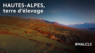 Les HautesAlpes terre délevage [upl. by Alym]