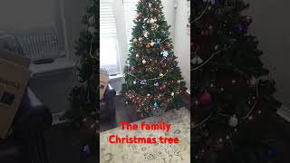 The family Christmas tree 🎄 ornaments christmas song arianagrande merrychristmas [upl. by Anirdnajela]