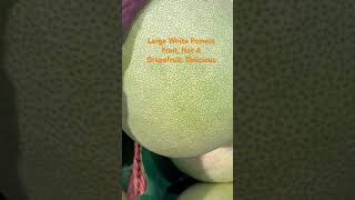 Large White Pomelo Fruit Not A Grapefruit Delicious Citrus Fruit [upl. by Derej]