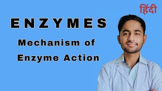 Enzyme  Mechanism of enzyme action  Biochemistry [upl. by Maurine285]