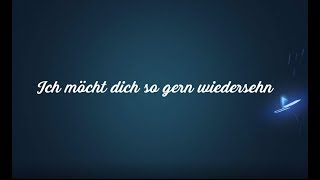 Ich würd dich so gern wiedersehn Andrea Berg  Coverversion Schlagerburschi [upl. by Felicdad]