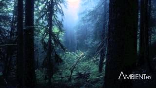 Carbon Based Lifeforms  Interloper Full Album [upl. by Picker364]