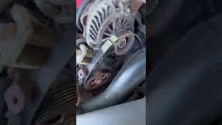 How to replace or tighten your serp belt in 20082014 Sti or any other Subarus in those years [upl. by Gaut]