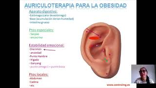 17 Auriculoterapia para bajar de peso Tratamiento de la obesidad Centro IMG [upl. by Rhetta]