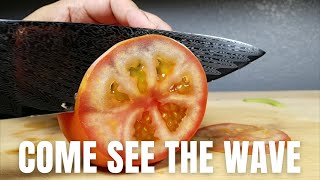 THE BEST BUDGET DAMASCUS STEEL KITCHEN KNIFE SHANZU 8quot CHEF SUN SERIES KNIFE AMAZON REVIEW [upl. by Hun]