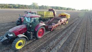 GRIMME DL 1700 wykopki ziemniaków 2018 [upl. by Llovera]