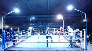 Gala savate boxe française [upl. by Vinia]