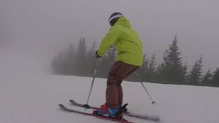 2019 Ski Test  Atomic Vantage X 80 [upl. by Horst]