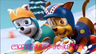 Paw Patrol All couples Tribute 14 th February Valentines Day Special mashup [upl. by Rehsu]