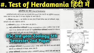 Test of Herdmania in Hindi  Herdmania Body Structure  BSc 3rd year Zoology 5th Sem 2nd Paper [upl. by Asirrak75]