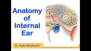 Anatomy of Internal Ear [upl. by Ferri783]