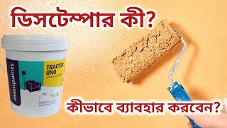 ডিসটেম্পার কী এবং কীভাবে লাগানো হয় How to use Distemper paint Distemper paint on wall [upl. by Patrich]