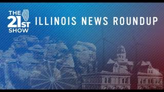 Southern Illinois votes for secession and state Democrats react to Trump victory [upl. by Gertrudis581]