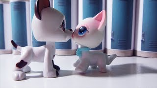 Littlest Pet Shop Popular Episode 16 The Fallout  Season Finale Part 12 CC FRANÇAIS [upl. by Assital]