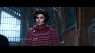 Professor McGonagall Kills Dolores Umbridge with a gun [upl. by Diana672]