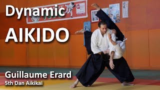 Dynamic Aikido  Guillaume Erard 5th Dan Aikikai [upl. by Atteynad]