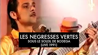 Les Négresses Vertes  Sous Le Soleil De Bodega  13041991  Les Nuls LEmission C [upl. by Dedric]