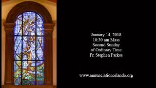 Audio Homily January 14 2018  1030am Mass  Fr Stephen Parkes [upl. by Baalbeer406]