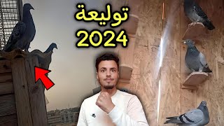 توليعة مع الحمام الزاجل 2024 [upl. by Mairym]