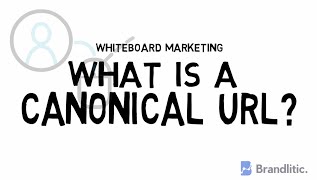 What is a Canonical URL in SEO  Use of Canonical Tag in SEO  URL Canonicalization [upl. by Ebony282]