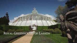 Royal Greenhouses of Laeken in Belgium [upl. by Barabbas195]