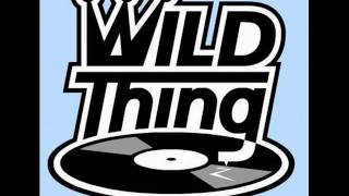 DJ Wildthing  PacMan Old School Mix [upl. by Klenk]