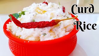 Curd Rice Recipe  Dahi Bhat  How To Make Curd Rice  Dahi Chawal  South Indian Style Curd Rice [upl. by Boaten]