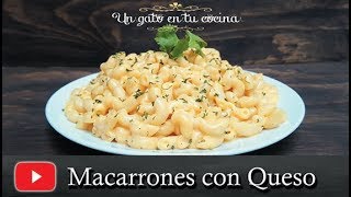 Macarrones con Queso  Receta Fácil y Económica [upl. by Hareehahs244]