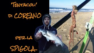 Surfcasting Tutorial esca ottima per la Spigola  TENTACOLI di COREANO [upl. by Draneb]