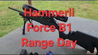 Hammerli Force B1  Range Test [upl. by Vania654]