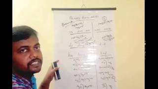 English grammar in malayalam  Primary Auxiliaries  Class 2 [upl. by Flem]