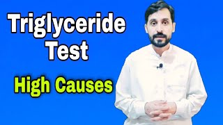 Triglyceride Test  Blood Triglyceride  High Causes  Treatment [upl. by Schreck436]