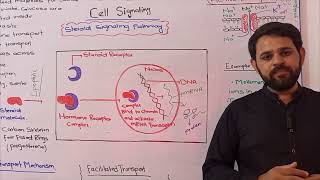 Steroid signaling  chapter1  Federal Board  Class 11  FBISE [upl. by Barfuss]