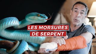 LES MORSURES DE SERPENT  MES BLESSURES 1 [upl. by Letnwahs]