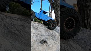 So Dobsonfly wtmicro lgrp moforc rcawd injora toyotalandcruiser fj45 shortsvideo clips rc [upl. by Liane]