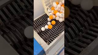 Shredding Eggs is Surprisingly Satisfying [upl. by Ferrand]