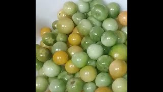 green tomato salsa [upl. by Lleraj]