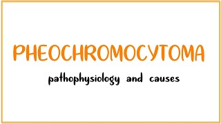 Pheochromocytoma Causes Findings Diagnosis Treatment [upl. by Aissila]